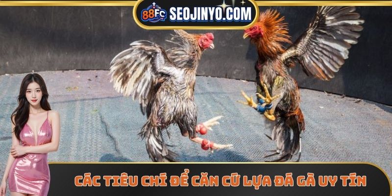 Các tiêu chí để căn cứ lựa chọn trang đá gà uy tín