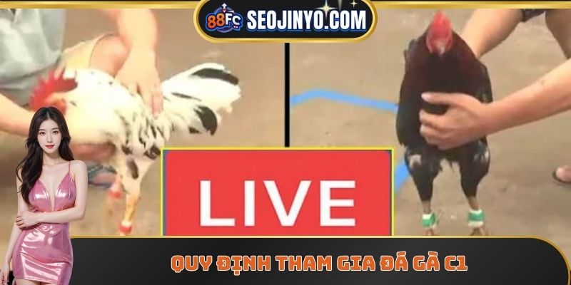 Quy định tham gia đá gà C1 tại website đá gà